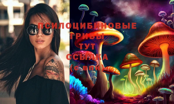 mdpv Баксан
